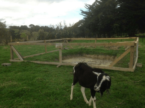 Screen Shot 2016-05-31 at 10.38.35 am