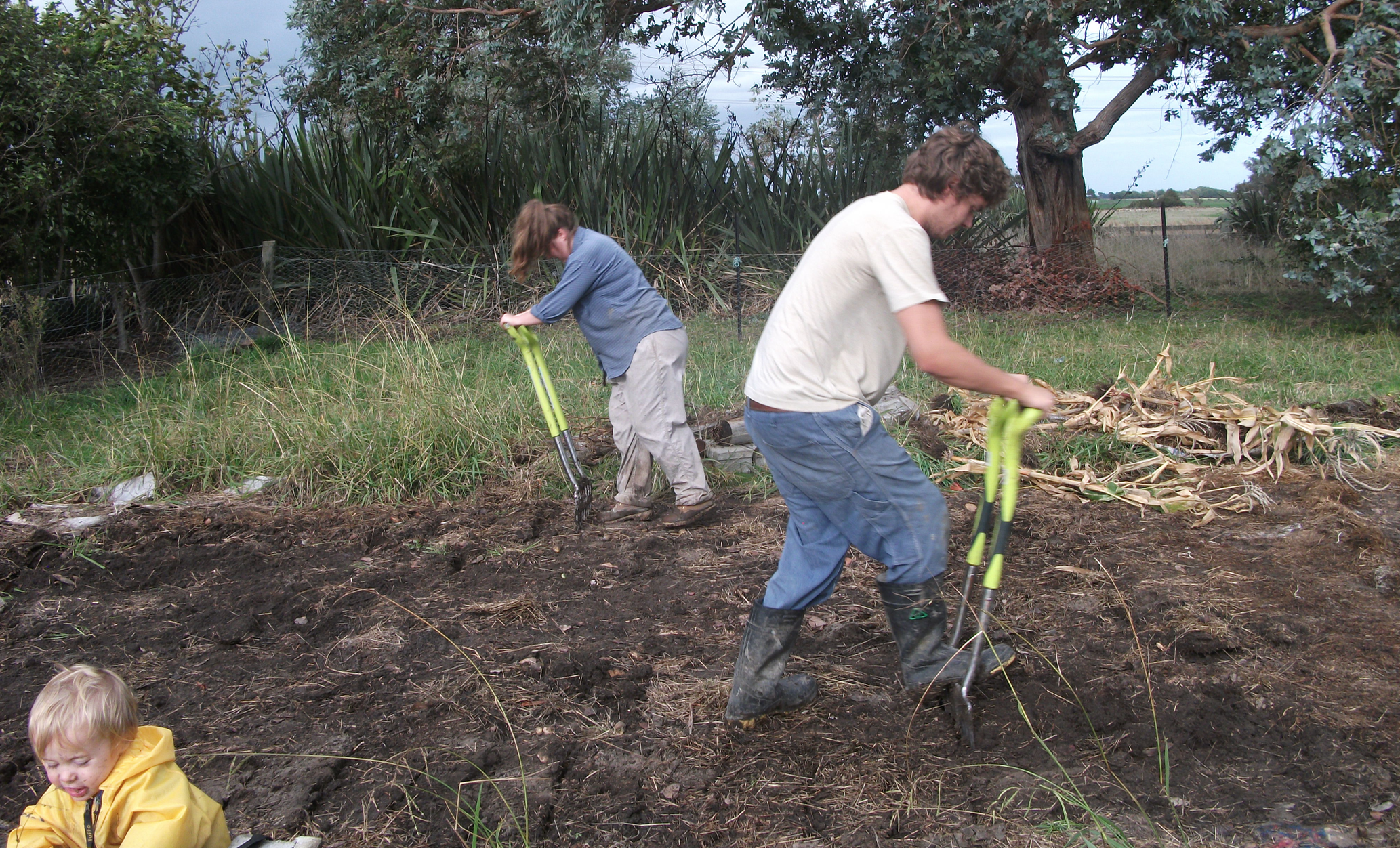 Screen Shot 2016-06-09 at 6.20.21 am