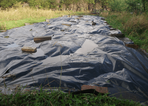 Screen Shot 2016-06-09 at 6.22.23 am