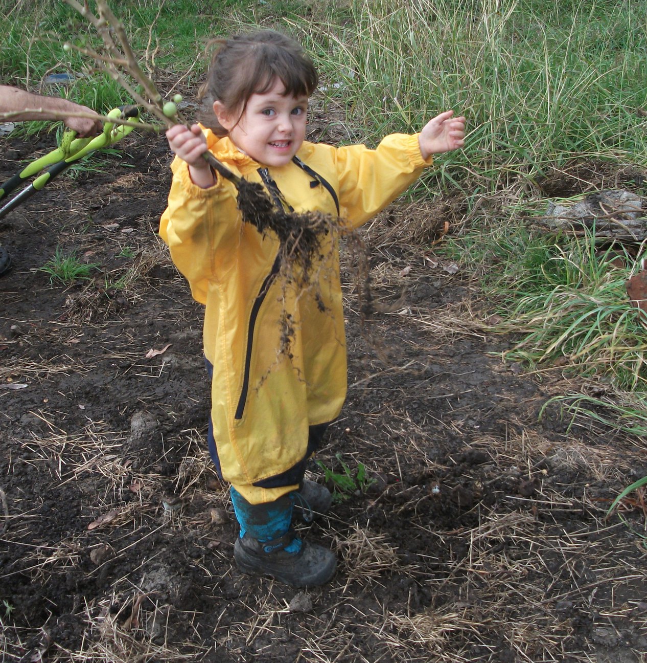 Screen Shot 2016-06-09 at 6.23.38 am