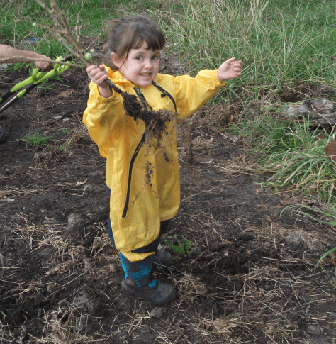 Screen Shot 2016-06-09 at 6.23.38 am