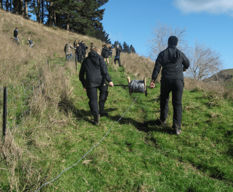 Screen Shot 2016-06-18 at 6.23.31 am