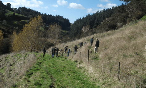 Screen Shot 2016-06-18 at 6.23.43 am