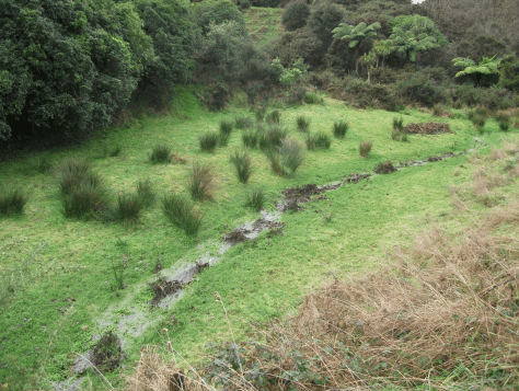 Screen Shot 2016-06-20 at 3.21.49 pm