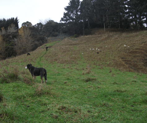 Screen Shot 2016-06-20 at 3.22.16 pm