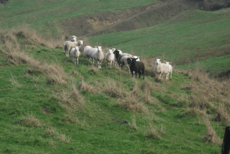 Screen Shot 2016-06-20 at 7.17.25 pm