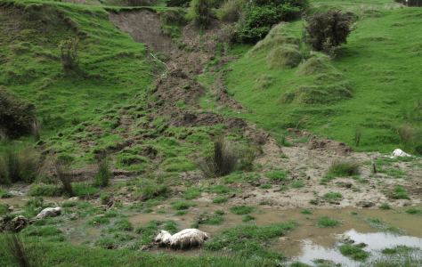 Screen Shot 2016-06-20 at 7.56.22 am