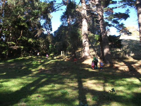 Screen Shot 2016-06-22 at 7.40.48 am