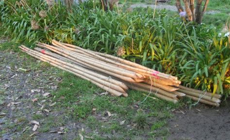 Screen Shot 2016-07-05 at 12.24.13 pm