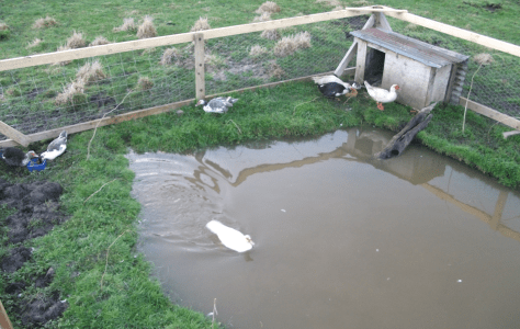 Screen Shot 2016-07-05 at 12.24.42 pm