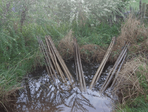 Screen Shot 2016-07-05 at 12.25.37 pm