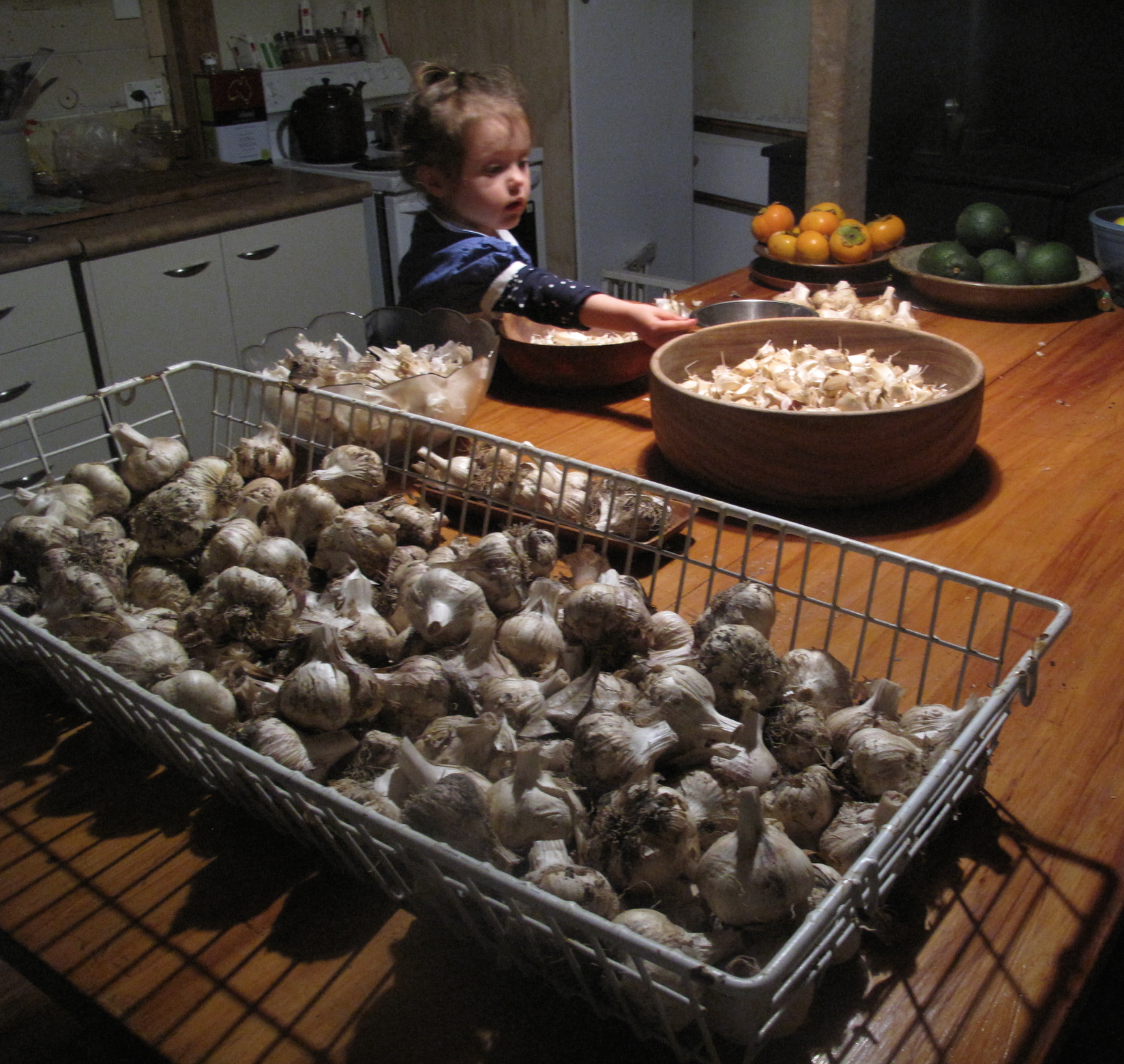 Screen Shot 2016-07-11 at 4.39.57 pm