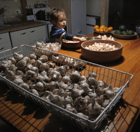 Screen Shot 2016-07-11 at 4.39.57 pm