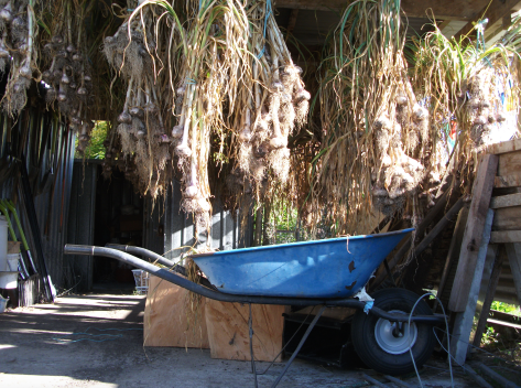 Screen Shot 2016-07-11 at 4.42.00 pm