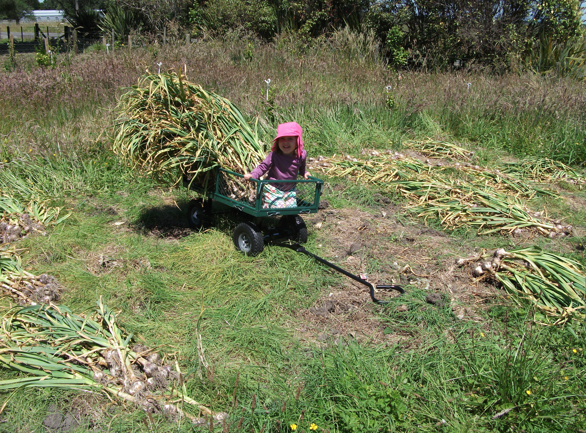 Screen Shot 2016-07-11 at 4.42.49 pm