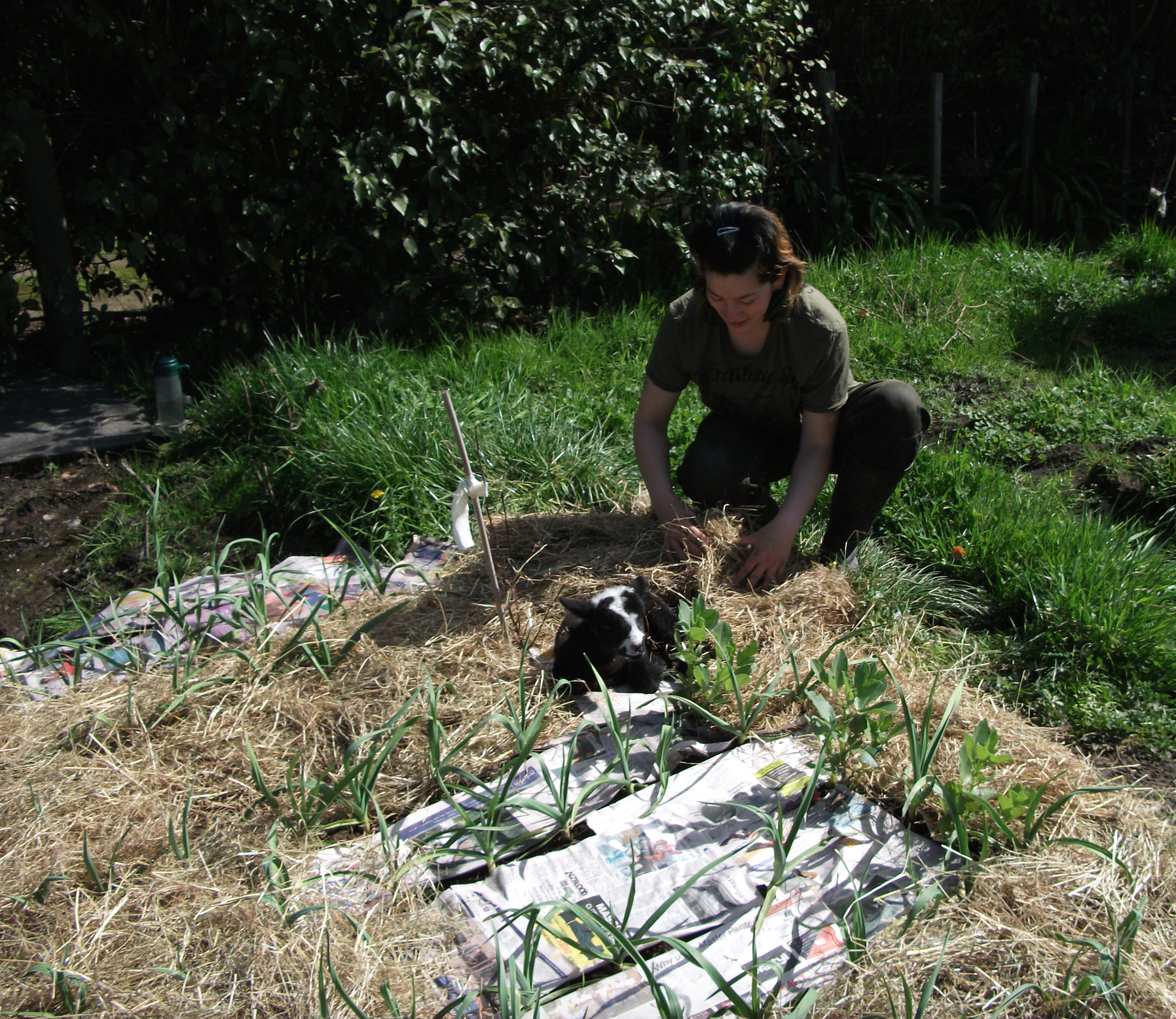 Screen Shot 2016-07-11 at 4.46.02 pm