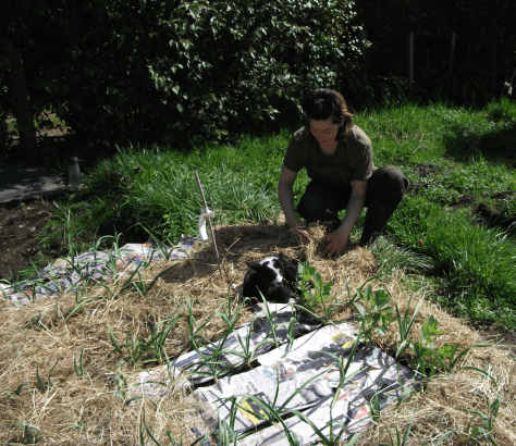 Screen Shot 2016-07-11 at 4.46.02 pm