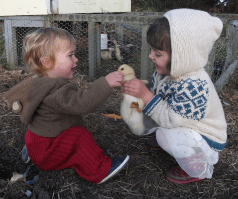 Screen Shot 2016-07-17 at 6.29.32 am