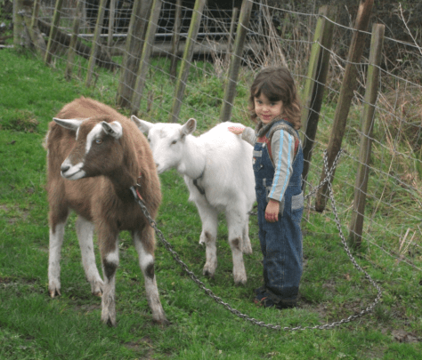 Screen Shot 2016-07-17 at 6.31.15 am