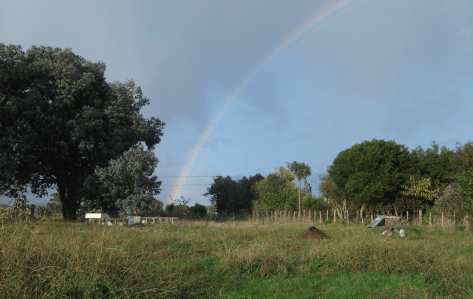 Screen Shot 2016-07-17 at 6.38.16 am