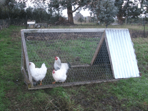 Screen Shot 2016-07-17 at 6.39.29 am