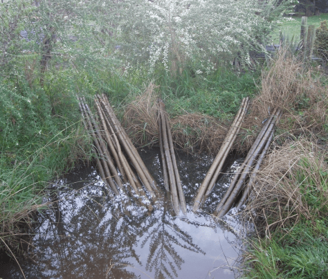 Screen Shot 2016-07-17 at 6.39.51 am