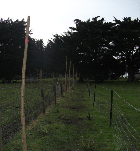 Screen Shot 2016-07-24 at 7.41.34 am