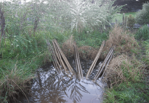 Screen Shot 2016-07-24 at 7.42.10 am