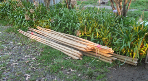 Screen Shot 2016-07-24 at 7.42.33 am