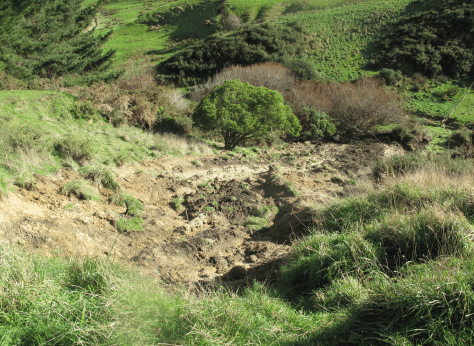 Screen Shot 2016-07-24 at 7.45.21 am