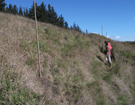 Screen Shot 2016-07-24 at 7.49.48 am