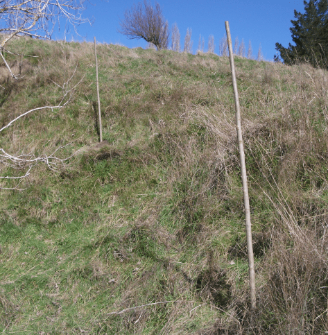 Screen Shot 2016-07-24 at 7.50.50 am