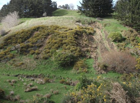 Screen Shot 2016-07-25 at 5.45.11 am