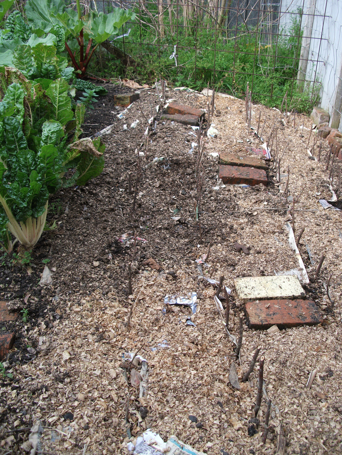 Screen Shot 2016-05-30 at 2.29.20 pm