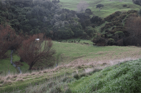 Screen Shot 2016-08-06 at 7.49.52 am