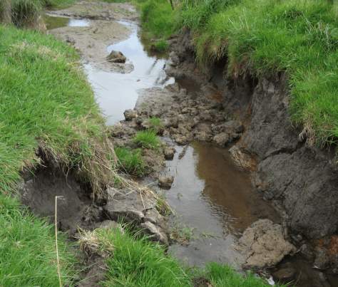 Screen Shot 2016-08-06 at 7.54.04 am