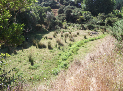 screen-shot-2016-09-13-at-1-21-04-pm