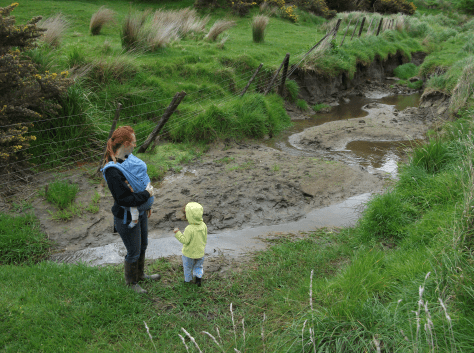 screen-shot-2016-09-13-at-1-24-14-pm