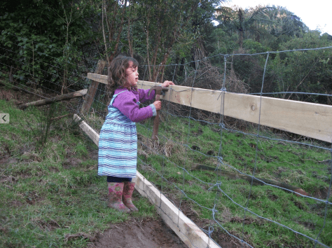 screen-shot-2016-09-13-at-12-56-05-pm