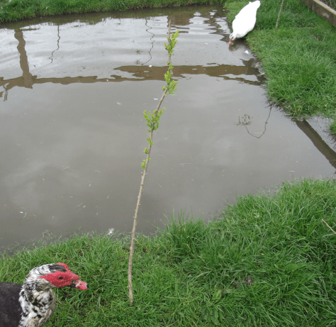 screen-shot-2016-10-14-at-2-35-45-pm