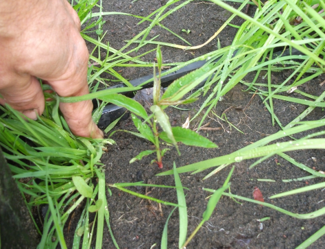 screen-shot-2016-10-14-at-2-36-06-pm