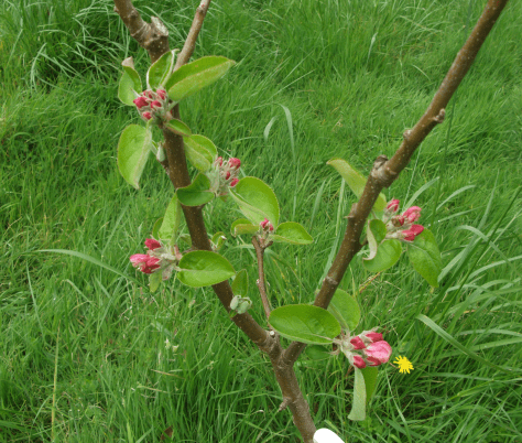 screen-shot-2016-10-14-at-2-37-18-pm