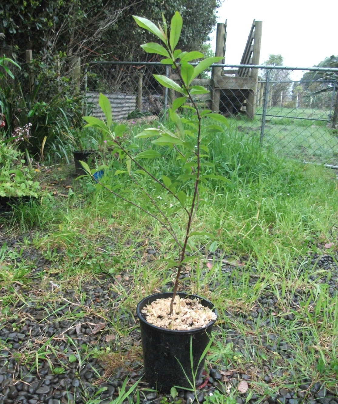 screen-shot-2016-10-27-at-12-20-24-pm