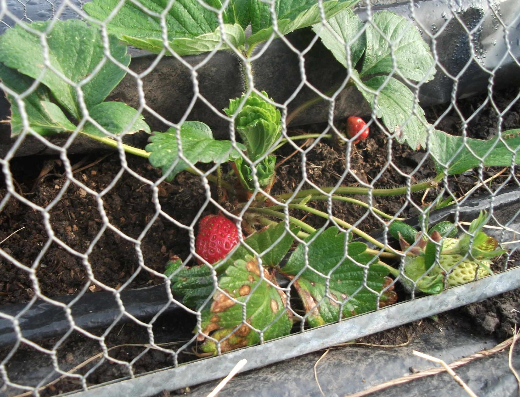 screen-shot-2016-10-27-at-12-21-25-pm