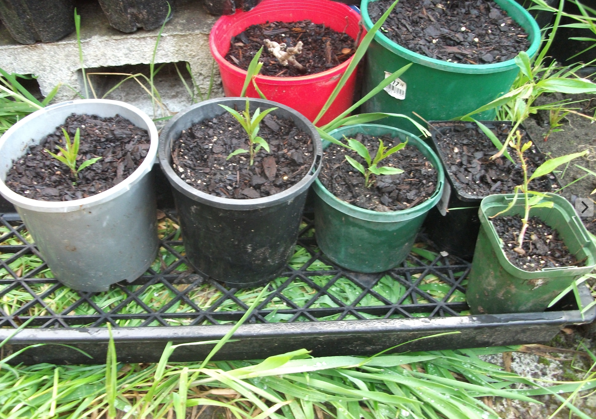 screen-shot-2016-10-27-at-12-21-34-pm