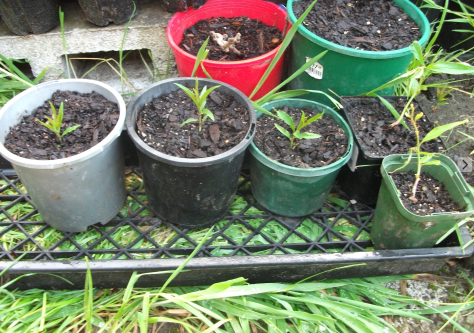 screen-shot-2016-10-27-at-12-21-34-pm