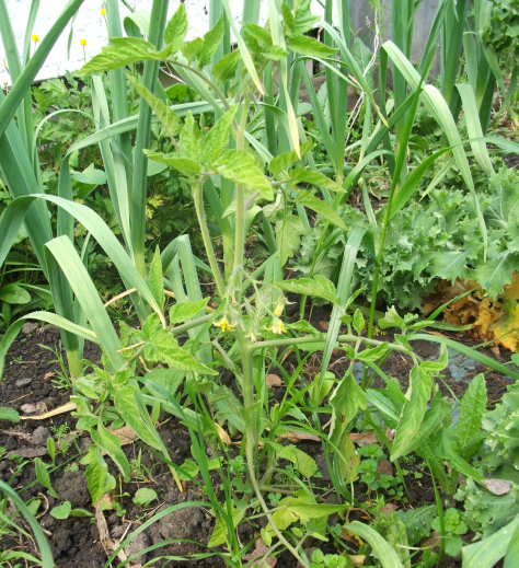 screen-shot-2016-10-27-at-12-22-22-pm