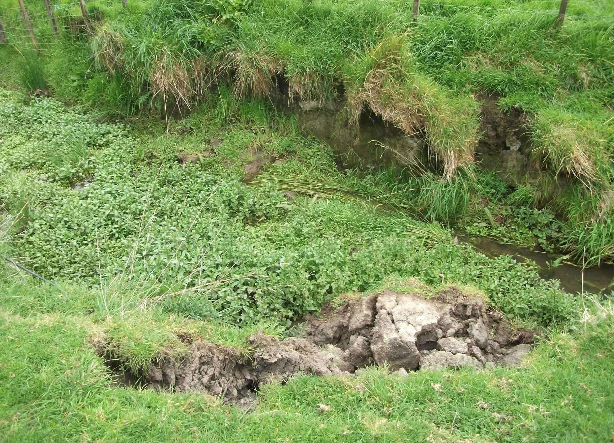 screen-shot-2016-10-27-at-12-23-22-pm