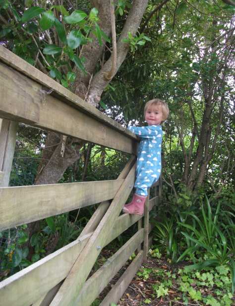 screen-shot-2016-11-06-at-6-24-42-am