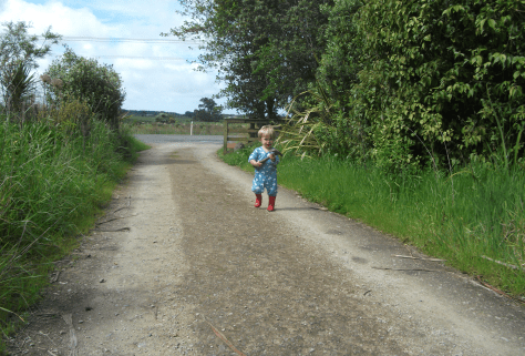 screen-shot-2016-11-06-at-6-24-52-am